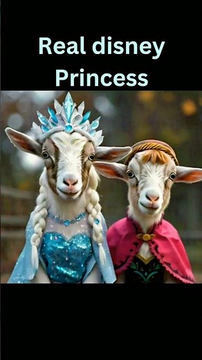 Best of Elsa and Anna's Magical Moments | 1-Hour Compilation | Frozen