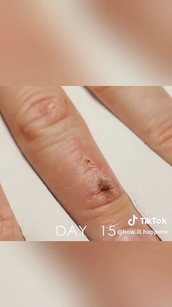 How Things Actually Work