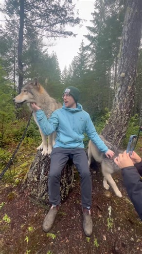 Get your warm and fuzzies in our Hike and Howl Tour…❤️ | Roam Wolfdog Sanctuary