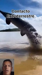#peces #pez #alien | Contacto Extraterrestre