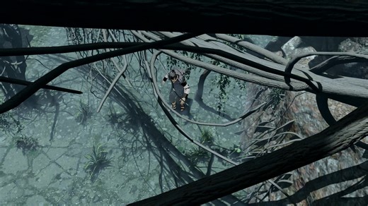 SOTC Animation Study, Ray Lopez