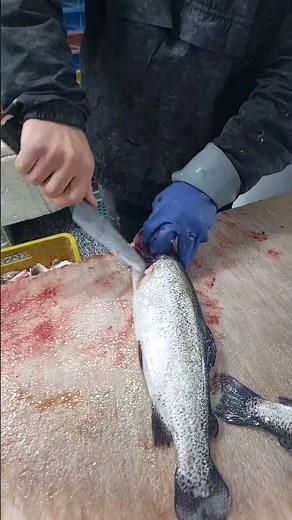 World's Fastest Fish Cutting Trout (FISH FILLET)