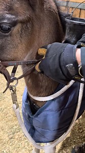 Learning lessons start on Day 1 for all our kids! | Precision Training, LLC