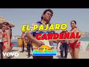 Conjunto Mar Azul - El Pájaro Cardenal