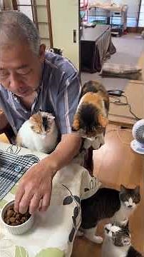 #住職の朝ごはん 茄子とピーマンの揚げ煮 カラス鰈の煮付 胡瓜の辛子漬け ごはんと味噌汁 #猫のいる暮らし #猫 #那須の長楽寺