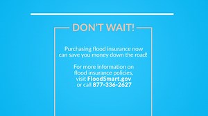 12 reactions | Anywhere it rains, there is a potential for flooding. Buy or update your flood insurance policy today to ensure you're #prepared for the next storm. Visit floodsmart.gov to find out which insurance plan is right for you! | Texas Division of Emergency Management | Facebook
