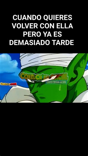 826K views · 23K reactions | Noooo  #Vegeta #goku #dragonball #dbz #dragonballzfans #memes #Picoro | Con el chino oficial | Facebook