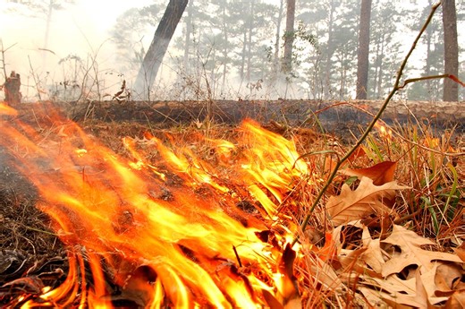 Virginia’s burning law takes effect this weekend. Here’s what to know