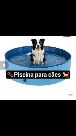 Refresque o calor do seu cãozinho com essa piscina divertida.Compre logo 👇https://pin.it/5k5oncJQb