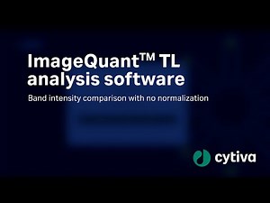 ImageQuant™ analysis software - Band intensity comparison with no normalization