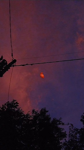 Videos de desireé 💕 (@desiree.gonzalez.1) con “original sound - VALENƬE⚡️”