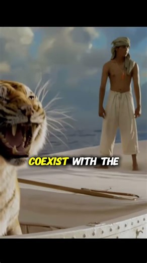 Life of Pi (2012)