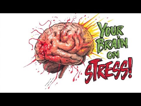 How Stress Affects Your Brain