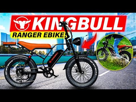 $800 vintage electric bike Kingbull Ranger
