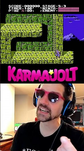 The devs INTENTIONALLY left this BRUTAL glitch in Ninja Gaiden (NES) - A Wild Glitch Appears!