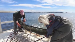 11K views · 18 reactions | This is footage of what winter crab dredging can look like. The Virginia Marine Resources Commission has reversed its previous decision to reopen the blue crab winter dredge season. The Chesapeake Bay Foundation and Watermen are pleased with this. But there are more concerns with what might happen to Virginia's 2025 crab season. Tune in tonight at 6pm to find out more. | WBOC TV 16 Delmarva's News Leader | Facebook