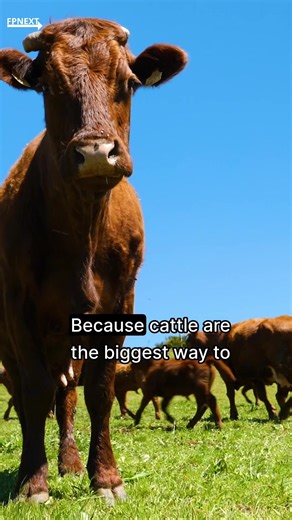 How to unlock cover crop benefits for healthy soil, and profits. 🌱 Keith Berns, co-founder of Green Cover Seed, weighs in with practical advice including three things for cover crop success, termination timing and the impact on soil moisture. Listen in: https://www.farmprogress.com/conservation-and-sustainability/how-to-unlock-cover-crop-benefits-for-healthy-soil-and-profits | Farm Futures