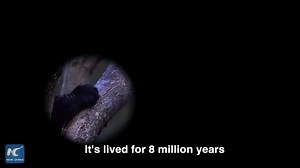 14K views · 677 reactions | It's lived for 8 million years, but only been known to the world for a century and a half. It's cute, but beastly. It's a global star, but only endemic to China... What could it be? #DiscoverChina | Xinhua Culture&Travel | Facebook