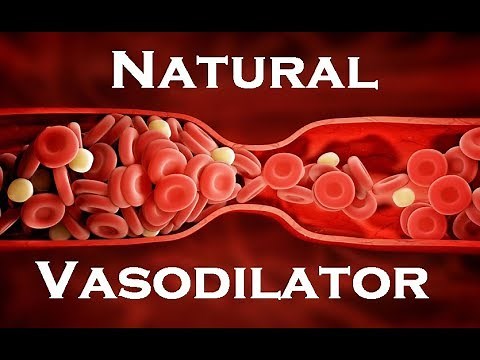 14 Natural Vasodilators | Nitric Oxide ED Cure
