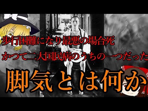 【ゆっくり解説】明治、大正期に人々を苦しめた脚気とは？