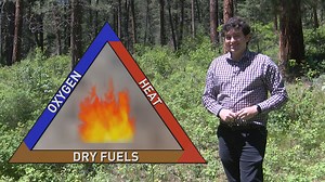 3D Weather: Breaking down factors that influence wildfire behavior
