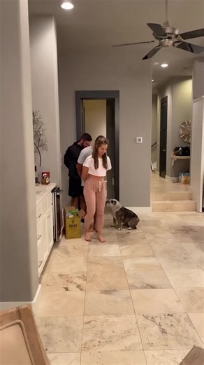 Blinding Lights Challenge | Dance Video Compilation