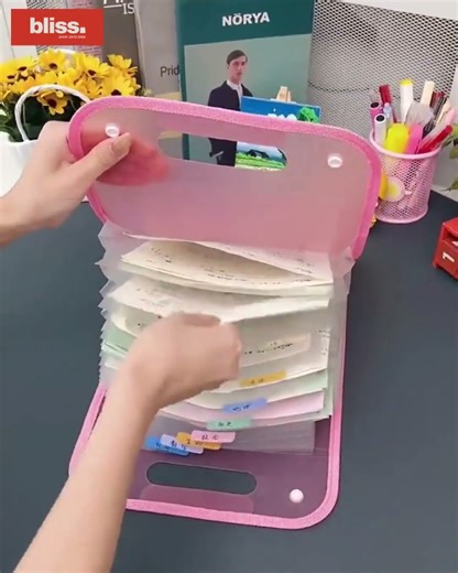 📂 Never Lose a Document Again! Upright Handheld Accordion File Organizer – 2-Pack Deal!