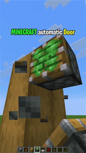 MINECRAFT automatic Door #shorts #viral