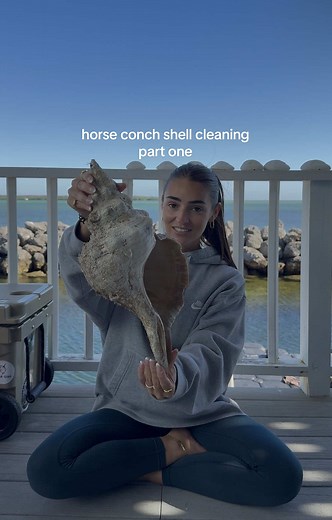 Cleaning the Biggest Horse Conch Shell: A Step-by-Step Journey