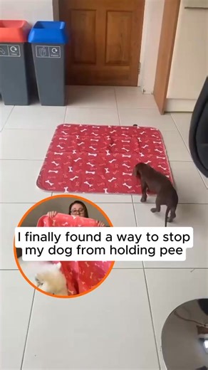 The only pee pad that attracts your dog to pee on it 🌍 Lasts Over A Year 😊 Hundreds of thousands of happy dog parents love PuppyPad ❌ No training required ∞ Absorbs instantly with no leaks or smell Loved by doggy shelters around the world! | Mary Montgomery