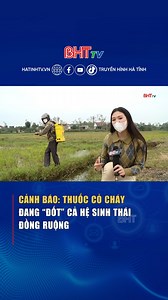 Thuốc cỏ cháy vốn chỉ dùng cho cây công nghiệp đang bị người dân phun tràn lan trên ruộng lúa, hoa màu ở Hà Tĩnh, gây nguy cơ phá vỡ hệ sinh thái đồng ruộng. #BaoHaTinh #truyenhinhhatinh #baovethucvat #thuoctrusau #moitruong | Truyền Hình Hà Tĩnh
