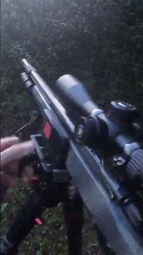 I Hunted this Deer in the Morning