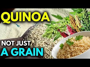 What Exactly Is Quinoa? The Ancient Super Seed Explained