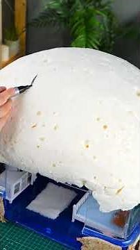 Built the cutest house for my turtle! 😍🐢 #reptilehome #cozyvibes