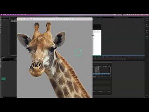 Avid Media Composer- Lesson 9 - Import Settings & Source Settings