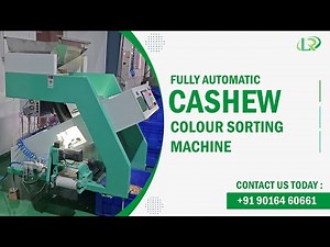 Automatic Cashew Color Sorting Process🤩Kaju Color Sorter🔹Cashew Nut Color Sorter Machine #cashew