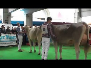 Gotthard Open 18 Schöneuterwahl