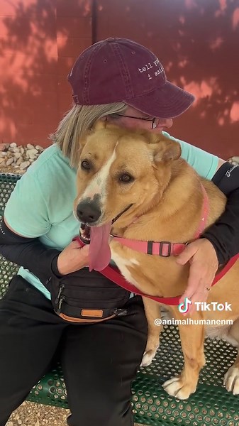 Meet Ruby: Your New Best Friend Awaits