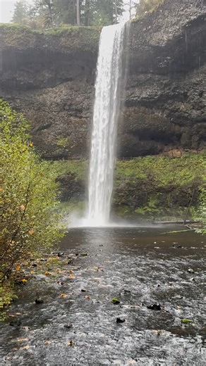 It all started with a question: Who is Dale? The story of Letters From Dale grew out of a thought I had. There was a kid I had a crush on in elementry school, we were friends, but lost touch as all kids do. I never knew what happened to him, and I dont even know if he knew I had a crush on him. BUT- when I was in my early 20's I took a trip to New Orleans, and thought about, what might have happened to Dale, what would his life had been like, where did he end up....and thus, Letters From Dale wa