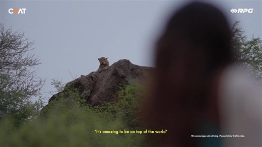 For 100 years, CEAT has been there, powering every journey with trust, innovation, and a bold spirit of adventure. Celebrate a century of pushing boundaries and embracing new horizons, while looking ahead to the endless roads still to be explored. Together, we move forward, beyond that horizon with CEAT. #CEAT100 #BeyondThatHorizon #100YearsOfAdventure #DrivenByYou #CEATJourney | CEAT Sri Lanka