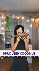 816K views · 5.2K reactions | Sprouted Coconut 101: Cracking Open The Fun 便 | Emmymade | Facebook