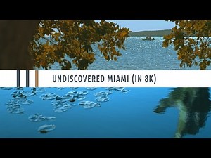Undiscovered Miami: A RED Epic-W Helium 8K Test