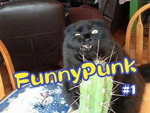 【FunnyPunk】痛击你的不开心！趣味沙雕视频集锦#1