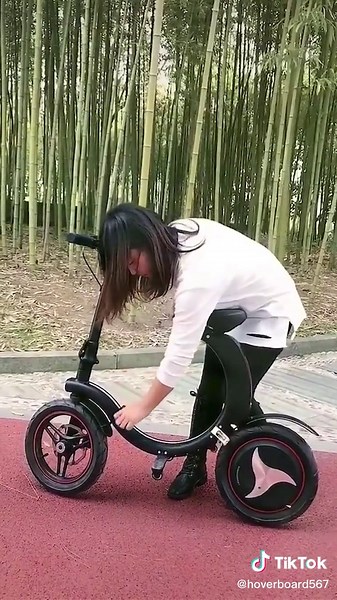 Explore the Best Dual Wheel Hoverboards for Balance