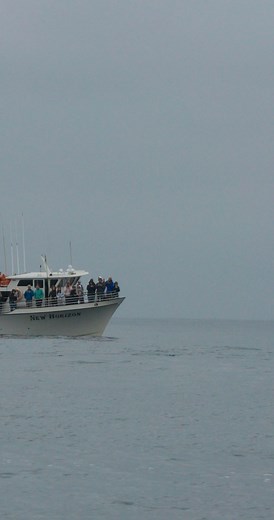 Humpback breaching by the New Horizon | Slater Moore Photography