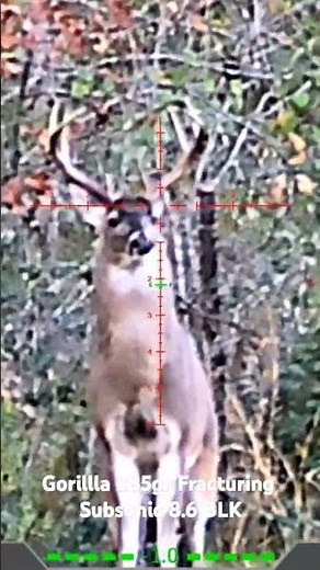 DNT Optics 635R on a Q Fix 12" SBR, Porq Chop Can, 8.6 Blackout #Deerhunting #Q Fix #8.6 BLK
