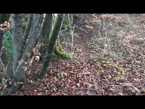 Gustav-Jakob-Höhle - Grabenstetten