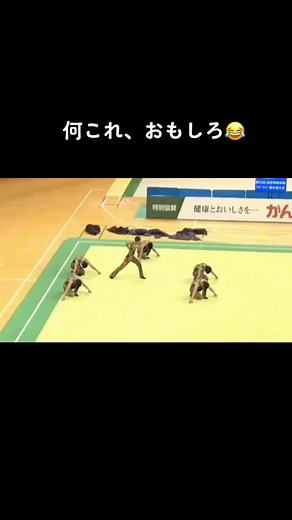 鹿児島実業 一ノ瀬 退学理由と新体操に関する情報