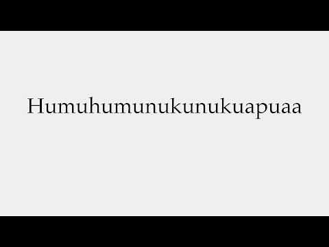 How to Pronounce Humuhumunukunukuapuaa