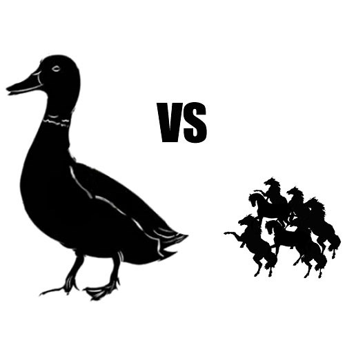 Horse-Sized Duck | Know Your Meme